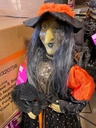 3 ft. Halloween Witch with Spider image