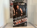 AEW SAMMY GUEVARA - #34 SERIES 5 UNMATCHED COLLECTION image