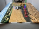 1/32 MARGE MODELS CLAAS 8800 LEXION image