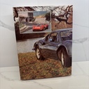 Book Ferrari Dino The Little Ferrari V6 & V8 1957 to 1979 by D. Nye 1979 w/dj image