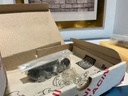 1/43 MINI RACING N 0059 DE CADENET BELGA 24 H DU MANS 81 image