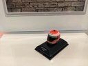 1:8 MINICHAMPS EDDIE IRVINE 1996 image