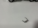 1/34 FIRST GEAR PLOTE INC  CONSTRUCTION 19–2987 MISSING A MIRROR DUMP TRUCK - Photo 7