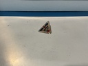 Vintage Formula 1 , Nascar , Rally Car and Road Racing Shirt Jacket Pin