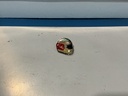 Vintage Formula 1 , Nascar , Rally Car and Road Racing Shirt Jacket Pin