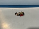 Vintage Formula 1 , Nascar , Rally Car and Road Racing Shirt Jacket Pin