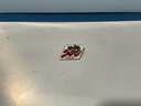 Vintage Formula 1 , Nascar , Rally Car and Road Racing Shirt Jacket Pin