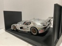 1:18 AUTO ART PANOZ ESPERANTE GTR-1 #45 LE MANS SILVER *NO BOX