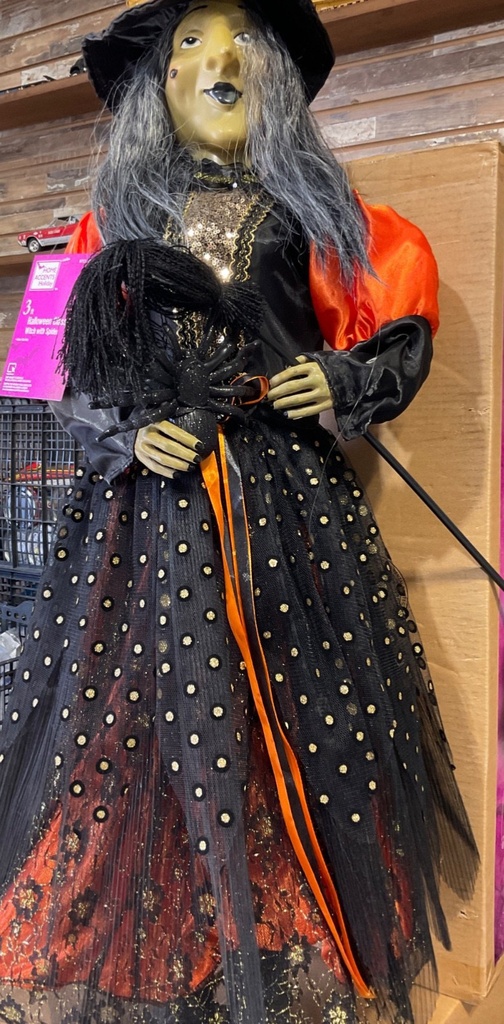 3 ft. Halloween Witch with Spider