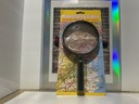 MAGNIFYING GLASS - GREENBRIER INTERNATIOAL