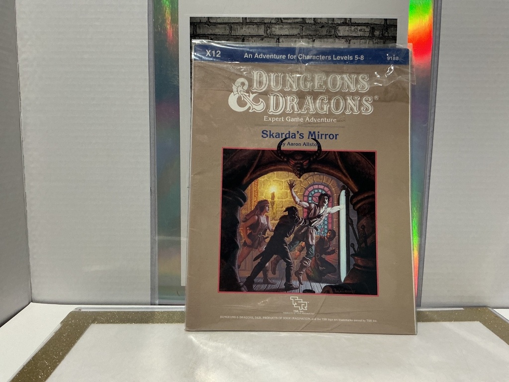 DUNGEONS AND DRAGONS - 1987 SKARDA’S MIRROR BY AARON ALLSTON